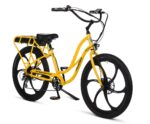 Pedego - Interceptor - Image 16