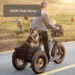 Puckipuppy - Alaskan Etrike - Image 18