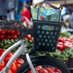 Momo Basket - Image 12