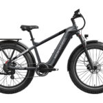 Mokwheel - Basalt 2.0 Ebike