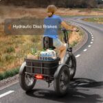 Puckipuppy - Husky Etrike - Image 18