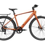 Mokwheel - FLINT Ebike