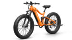 Puckipuppy - Boxer Ebike - Image 27