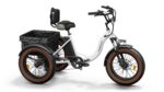 Puckipuppy - Alaskan Etrike - Image 24