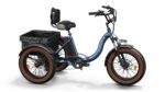Puckipuppy - Alaskan Etrike - Image 23