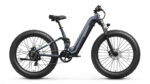 Puckipuppy - Boxer ST Ebike - Image 14