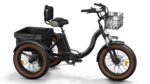 Puckipuppy - Alaskan Etrike - Image 2