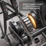 Puckipuppy - Rottweiler Etrike - Image 4