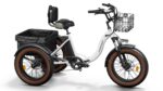 Puckipuppy - Alaskan Etrike - Image 8