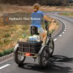 Puckipuppy - Husky Etrike - Image 24