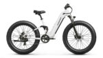 Puckipuppy - Boxer ST Ebike - Image 2
