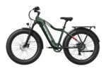 Mokwheel - Tor Plus Ebike - Image 10
