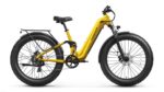 Puckipuppy - Boxer ST Ebike - Image 32