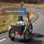 Puckipuppy - Husky Etrike - Image 12