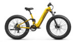 Puckipuppy - Boxer ST Ebike - Image 8