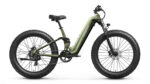 Puckipuppy - Boxer ST Ebike - Image 26