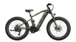 Mokwheel - Onyx Ebike - Image 6