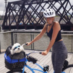 BIKASE Pet Basket - Image 10