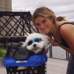 MIK Pet Basket Bundle - Image 6