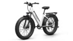 Puckipuppy - Samoyed Ebike - Image 3