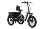 Mokwheel - Granite E-Trike - Image 2