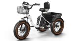 Puckipuppy - Alaskan Etrike - Image 10