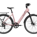 Mokwheel - FLINT ST Ebike