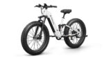 Puckipuppy - Boxer ST Ebike - Image 9