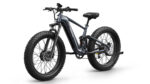 Puckipuppy - Golden Pro Ebike - Image 13