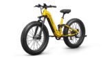Puckipuppy - Boxer ST Ebike - Image 21