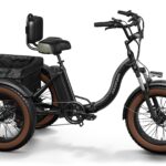 Puckipuppy - Alaskan Etrike