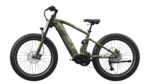 Mokwheel - Onyx Ebike - Image 10