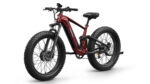 Puckipuppy - Golden Pro Ebike - Image 8