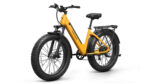 Puckipuppy - Samoyed Ebike - Image 14