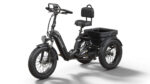 Puckipuppy - Rottweiler Etrike - Image 3
