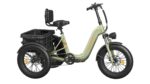 Puckipuppy - Husky Etrike - Image 22