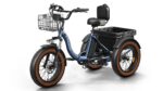 Puckipuppy - Alaskan Etrike - Image 17