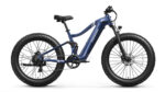 Puckipuppy - Boxer Ebike - Image 11