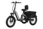 Mokwheel - Granite E-Trike - Image 3