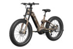 Mokwheel - Onyx ST Ebike - Image 13