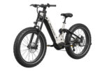 Mokwheel - Onyx ST Ebike - Image 3