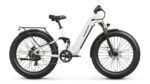 Puckipuppy - Boxer ST Ebike