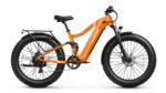 Puckipuppy - Boxer Ebike - Image 36