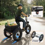 Puckipuppy - Rottweiler Etrike - Image 7