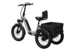 Mokwheel - Granite E-Trike - Image 4