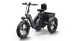 Puckipuppy - Husky Etrike - Image 2