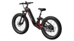 Mokwheel - Obsidian ST Ebike - Image 9