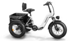 Puckipuppy - Husky Etrike - Image 3
