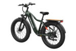 Mokwheel - Tor Plus Ebike - Image 8
