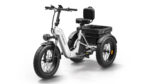 Puckipuppy - Husky Plus Etrike - Image 16